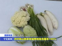 濟村高山蔬菜省抽查檢驗合格率100%