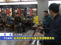 臺灣藝術家與寧化茶企交流琴茶文化