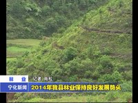 2014年我縣林業保持良好發展勢頭