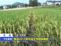 我縣2015年農業工作目標確定