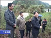 省林業廳副廳長嚴金靜來寧調研