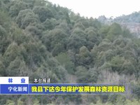 我縣下達今年保護發展森林資源目標