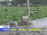 楊邊村：整村推進 打好扶貧攻堅戰(zhàn)