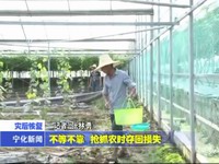 不等不靠 搶抓農時奪回損失