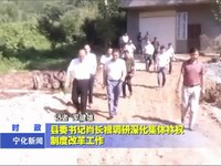 縣委書記肖長根調研深化集體林權制度改革工作