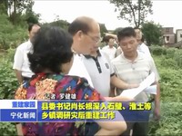 縣委書記肖長根深入石壁、淮土等鄉鎮調研災后重建工作