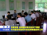 市委常委、組織部長陳炎標來寧調研農村基層黨建和村級組織換屆選舉工作