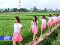 2015年世界旅游模特大賽參賽佳麗參觀河龍貢米產區