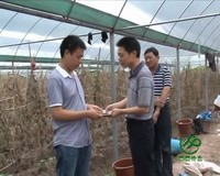 幸福計生專欄：誠信幫扶助創業