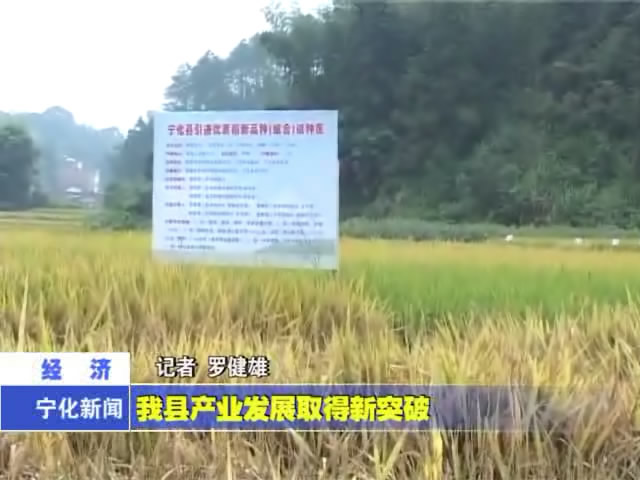 我縣產(chǎn)業(yè)發(fā)展取得新突破