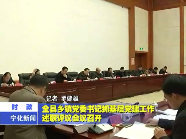 全縣鄉鎮黨委書記抓基層黨建工作述職評議會議召開