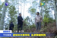 砍伐林木要審批  亂砍要被刑拘