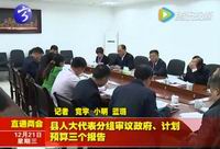 縣人大代表分組審議政府、計劃、預算三個報告