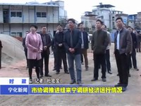 市協調推進組來寧調研經濟運行情況