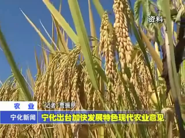 寧化出臺加快發(fā)展特色現(xiàn)代農(nóng)業(yè)意見