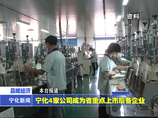 寧化4家公司成為省重點上市后備企業(yè)