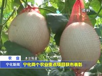 寧化兩個農業重點項目獲市表彰