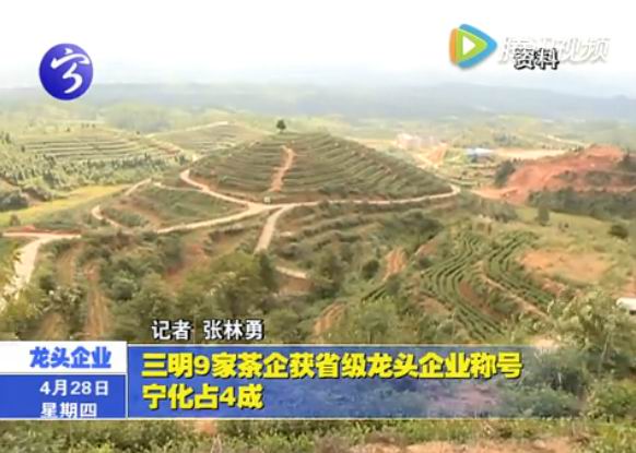 三明9家茶企獲省級龍頭企業(yè)稱號  寧化占4成