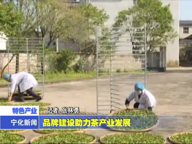 品牌建設助力茶產業發展