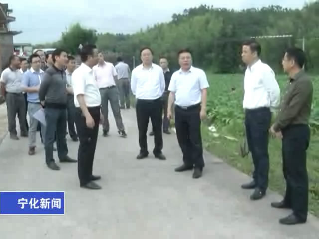 縣領導調研省市工作檢查迎檢項目