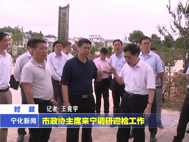 市政協主席來寧調研迎檢項目