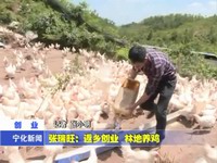 張瑞旺：返鄉創業  林地養雞