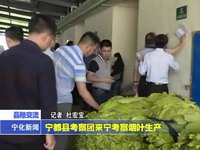 寧都縣考察團來寧考察煙葉生產