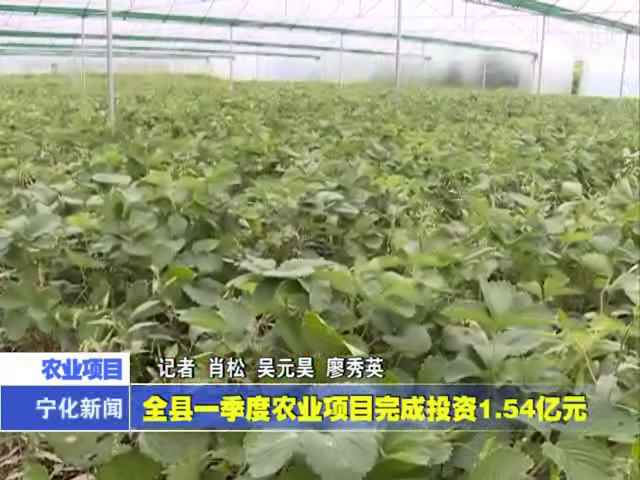 寧化縣一季度農業項目完成投資1.54億元