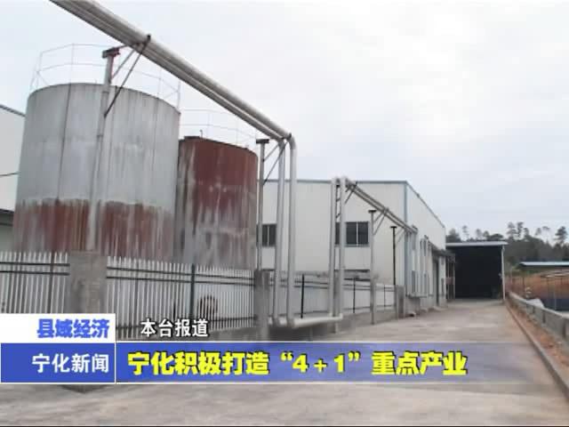 寧化積極打造“4+1”重點(diǎn)產(chǎn)業(yè)