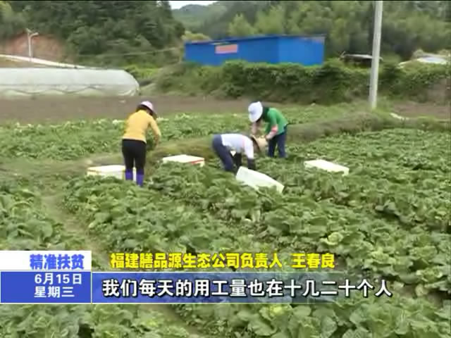 長(zhǎng)坊村：依托基地幫助貧困戶(hù)精準(zhǔn)脫貧