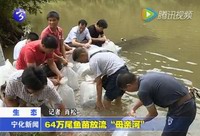 64萬尾魚苗放流“母親河”