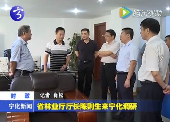 省林業(yè)廳廳長(zhǎng)陳則生來(lái)寧化調(diào)研