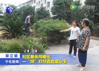 社區服務網格化  一“網”打盡百姓煩心事