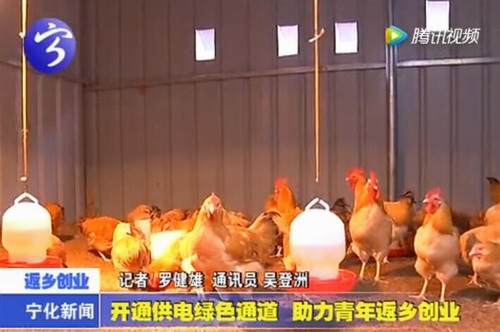 開通供電綠色通道 助力青年返鄉(xiāng)創(chuàng)業(yè)