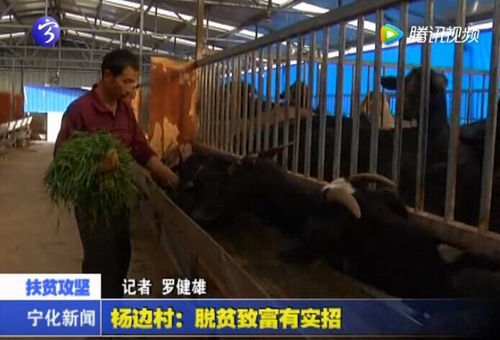 楊邊村：脫貧致富有實招