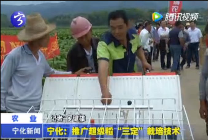 寧化：推廣超級稻“三定”栽培技術