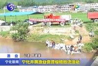 寧化開展漁業資源增殖放流活動