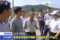 省有關專家來寧調研“河龍貢米”產業