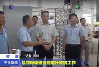 縣領導調研當前煙葉收購工作