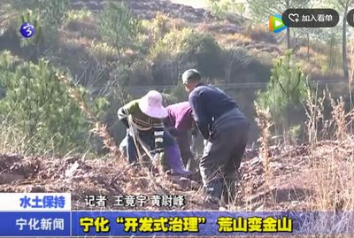 寧化“開發(fā)式治理”荒山變金山