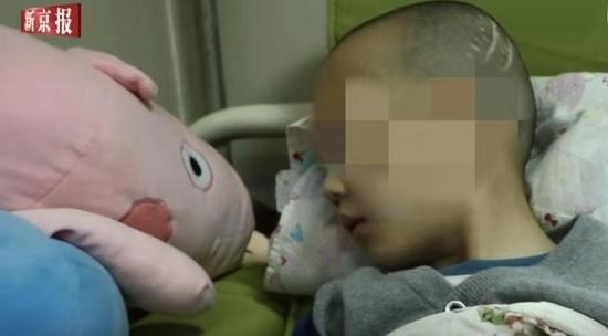 ▲&nbsp;鵬鵬&nbsp; 圖片來源：新京報(bào)“我們”視頻