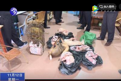 寧化：打擊非法販賣野生動物戰(zhàn)果豐碩 “安遠蛇王”應聲落網(wǎng)