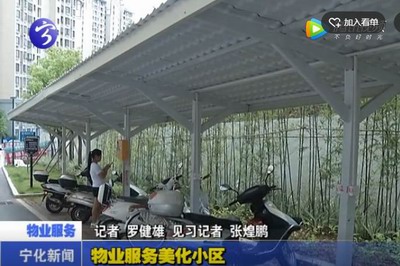 物業(yè)服務美化小區(qū)