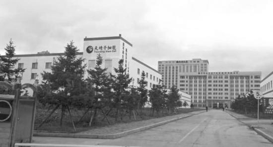 天晴股份公司大門 每經實習記者滑昂?攝