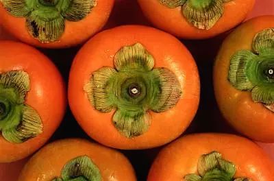 圖片來源：視覺中國