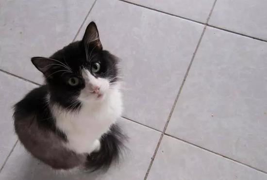 圖片來源：視覺中國