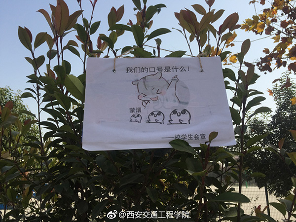 　微博@西安交通工程學院 圖
