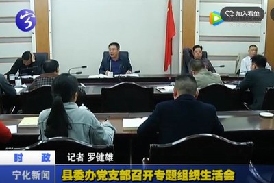 縣委辦黨支部召開專題組織生活會