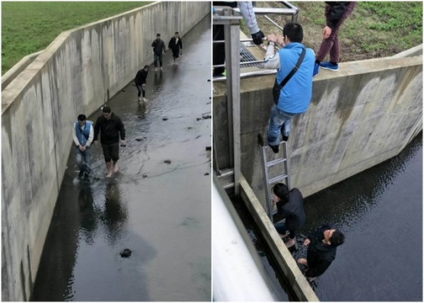 苗栗“憲兵隊”于下水道將兩人查獲。（圖片來源：香港東網(wǎng)）