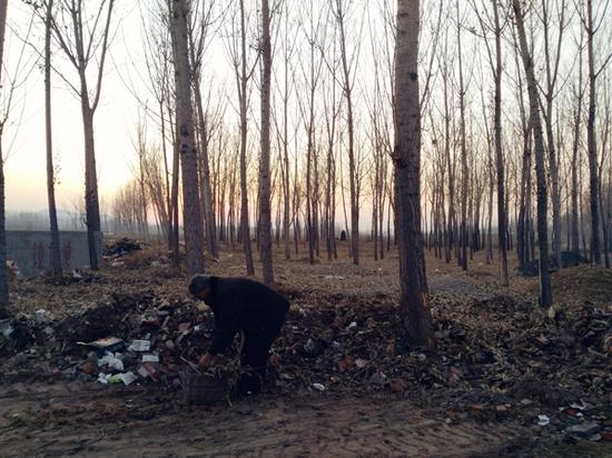 韓福在村西邊拾柴。